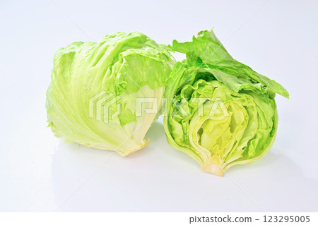 Fresh lettuce. Half cut cross section. 123295005
