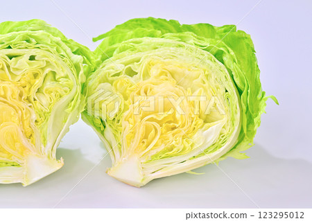 新鮮的生菜。半切橫截面。 新鮮的生菜。半切橫截面。 123295012