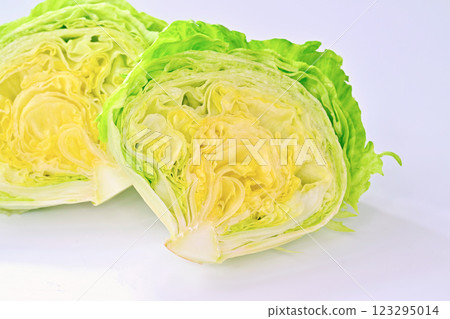 新鮮的生菜。半切橫截面。 123295014