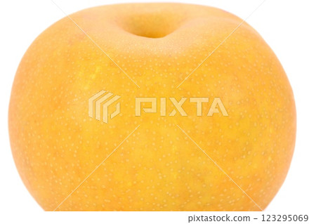 Kosui pear, whole pear, bright background, Fukushima prefecture 123295069