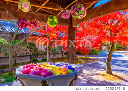 光明寺的花泉與秋葉 光明寺的花泉與秋葉 123295148