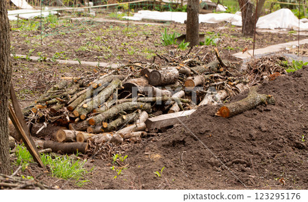Construction of a warm bed according to permaculture principles with wooden branches 123295176
