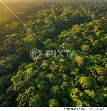 Taken from above with a drone 123296424