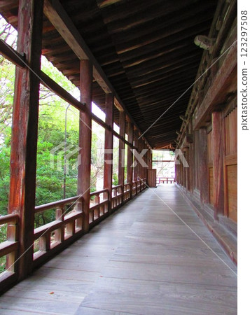 自然中的走廊 123297508