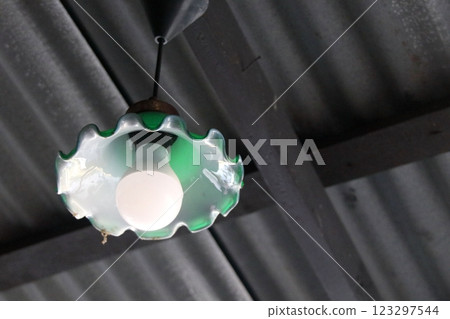 Cover electric lamp flower shape. Cover electric lamp flower shape. 123297544