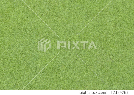 美麗的天然草地背景材料 123297631