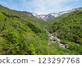 Dazzling new greenery on Mt. Hakusan in early summer 123297768