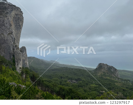 Beautiful landscape from the mountain to a green coniferous forest Beautiful landscape from the mountain to a green coniferous forest 123297917
