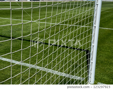 Goal net on the green football field of the stadium 123297923