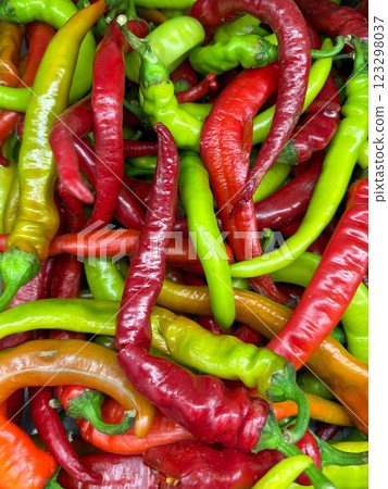 red and green hot chili peppers for cooking red and green hot chili peppers for cooking 123298037