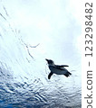 Flying Penguin 123298482