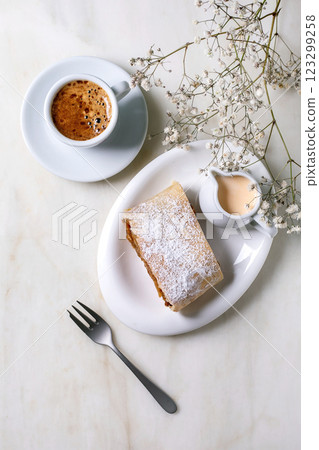 Traditional Austrian apple strudel 123299258