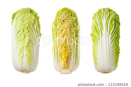 Napa cabbage whole and cut in half isolated on a white background. Napa cabbage whole and cut in half isolated on a white background. 123299429