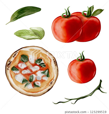 Watercolor illustration of classic pizza ingredients on a white background 123299519