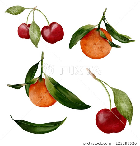 Watercolor illustrations of fruit with vibrant colors and natural detail 123299520