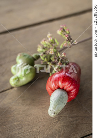 asian whole cashew fruit outdoors in thailand farm 123299550
