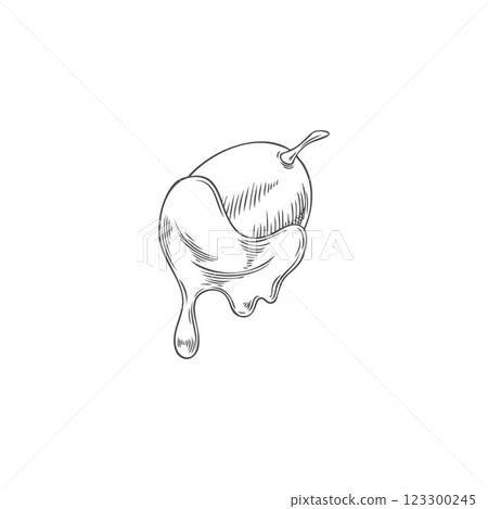 Vector sketch of grapes in hot chocolate fondue. Vintage engraved hand drawn illustration. 123300245