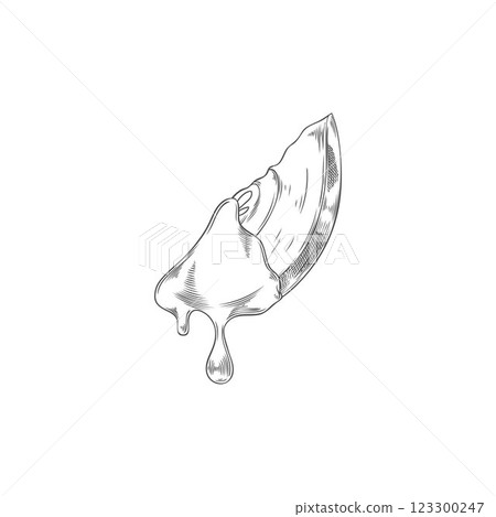 Fondue. Monochrome sketch of apple slice in chocolate. Fondue. Monochrome sketch of apple slice in chocolate. 123300247