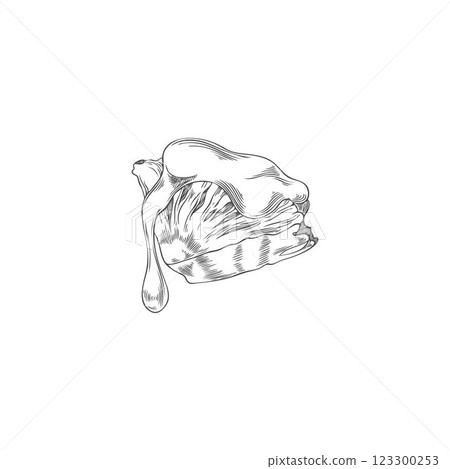 Black and white sketch of juicy pineapple slice in chocolate fondue. Black and white sketch of juicy pineapple slice in chocolate fondue. 123300253