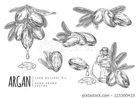 Illustration of set in black and white outline style with nuts, leaves and bottle of argan oil. 123300418
