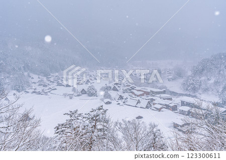 Shirakawa-go in snowy winter 123300611