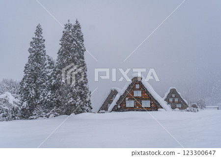 下雪的冬天的白川鄉 123300647