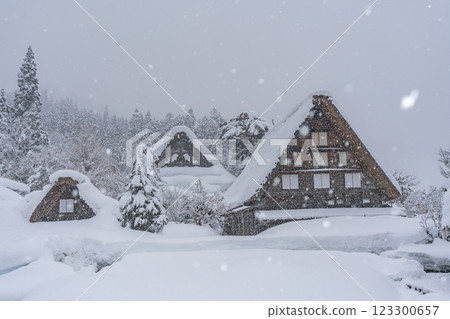 Shirakawa-go in snowy winter 123300657