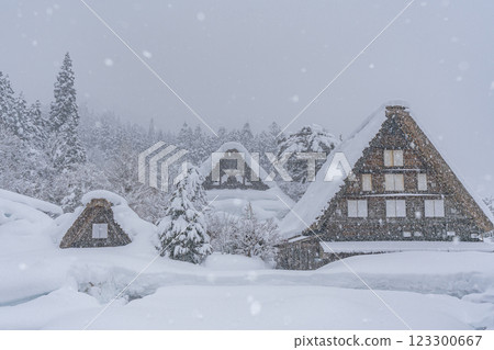 Shirakawa-go in snowy winter Shirakawa-go in snowy winter 123300667