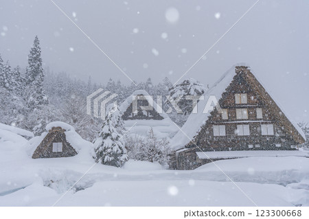 Shirakawa-go in snowy winter 123300668