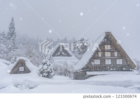 Shirakawa-go in snowy winter 123300674