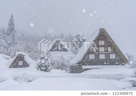 Shirakawa-go in snowy winter Shirakawa-go in snowy winter 123300675