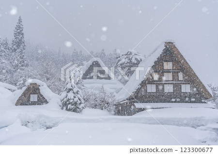 下雪的冬天的白川鄉 下雪的冬天的白川鄉 123300677