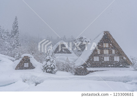 Shirakawa-go in snowy winter 123300681