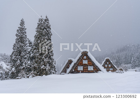Shirakawa-go in snowy winter 123300692