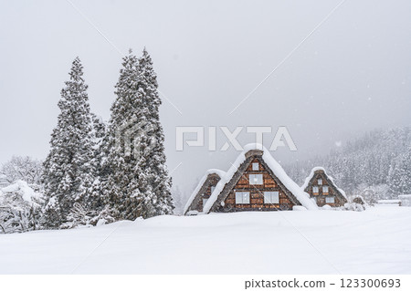 Shirakawa-go in snowy winter 123300693