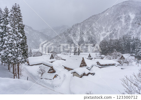 雪域五簇山菅沼合掌村 雪域五簇山菅沼合掌村 123300712