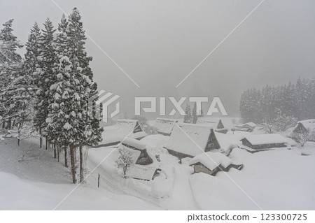 雪域五簇山菅沼合掌村 123300725