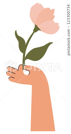 Arm holding pink tulip for lovely one. Tulip flower present or surprise for International Women's Day 123300734