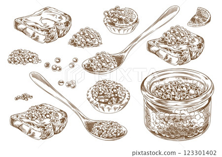 Caviar heaps, on spoon and in glass jar, on tartlet and bread slices engraved hand drawn vector set, sea food delicacy 123301402