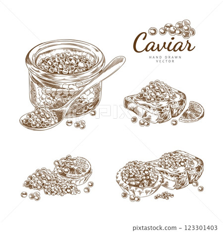 Outline sketch set of illustrations with caviar in a jar, tartlet, sandwich and spoon. 123301403