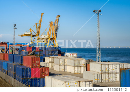 Cargo containers stacked on berth of sea port on sunny day. Maritime logistics, transportation, commercial seaport, global trade, shipping containers in various colors, cargo handling equipment, clear 123301542