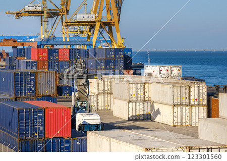 Cargo containers stacked on berth of sea port on sunny day. Maritime logistics, transportation, commercial seaport, global trade, shipping containers in various colors, cargo handling equipment, clear 123301560