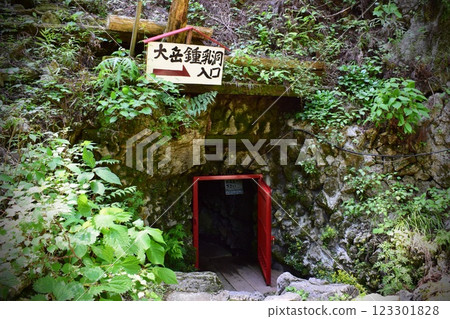 大竹洞窟入口 123301828