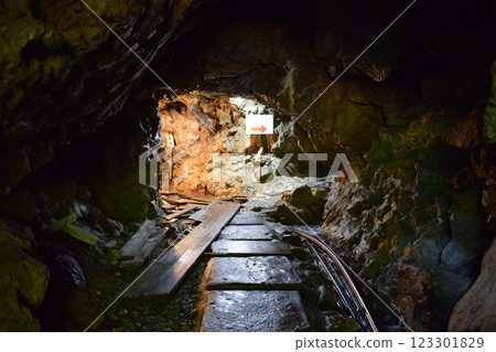 大竹石灰岩洞 大竹石灰岩洞 123301829