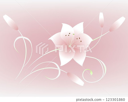 Beautiful floral background with flower lily. Beautiful floral background with flower lily. 123301860