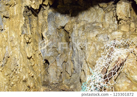 Otake Cave: Stalactites Otake Cave: Stalactites 123301872