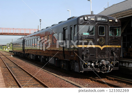 train, trains, vehicle 123302269