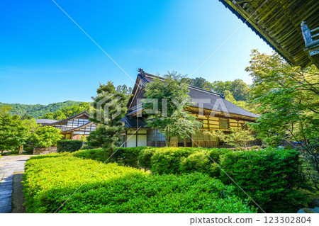 出石 - 拓安寺、崇教寺境內的初夏 兵庫縣豐岡市2 123302804