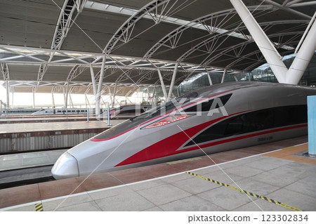 廣州南站的高鐵 123302834