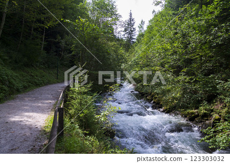Wild waters of the Talbach creek gorge on trail from Schladming to Untertal, Austria 123303032